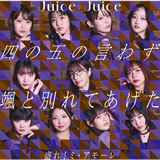コラム画像です。 