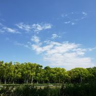 みょん 人 を 青 空 歌詞 知る あい よ さ の