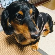 みなぶー