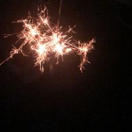 ラミ