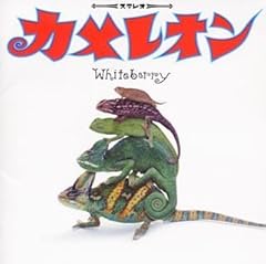 Whiteberry かくれんぼ 歌詞 歌ネット